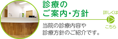 診療のご案内|当院で対応可能な診療内容のご紹介です。詳しくはこちら