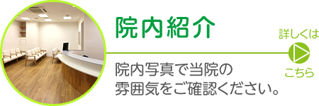 院内紹介|院内写真で当院の雰囲気をご確認ください。詳しくはこちら